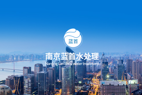 祁阳建站-南京蓝首水处理设备有限公司